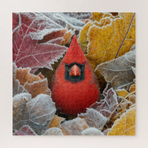 Roter Kardinalvogel in frostigen Herbstblättern Puzzle