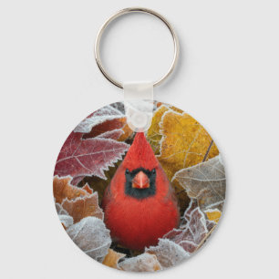 Roter Kardinalvogel in frostigen Herbstblättern Schlüsselanhänger