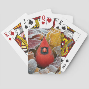 Roter Kardinalvogel in frostigen Herbstblättern Spielkarten