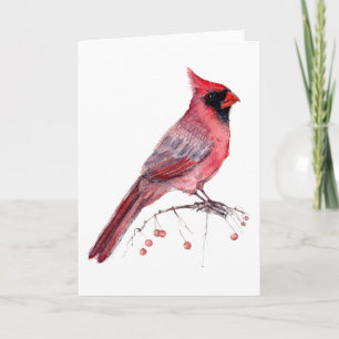 Roter Kardinalvogel Karte