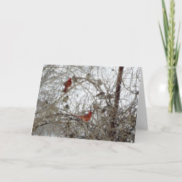 Roter KardinalWreath Feiertagskarte