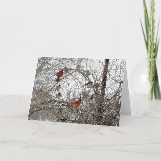 Roter KardinalWreath Feiertagskarte (Vorderseite)