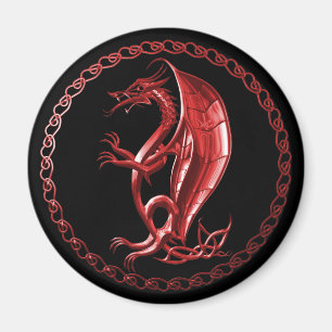 Roter keltischer Drache-Magnet Magnet