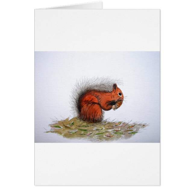 Roter Kiefer (Vorne)