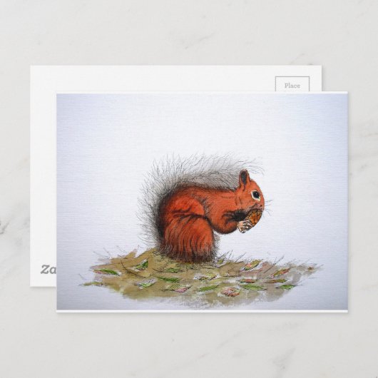 Roter Kiefer Postkarte (Vorne/Hinten)