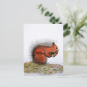 Roter Kiefer Postkarte (Stehend Vorderseite)