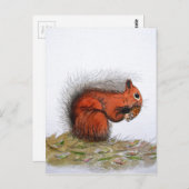 Roter Kiefer Postkarte (Vorne/Hinten)