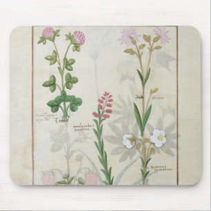 Roter Klee u. Aube Bellidis Onobrychis u. Hyssopus Mousepad