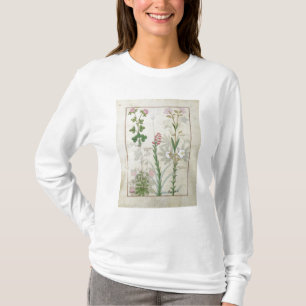 Roter Klee u. Aube Bellidis Onobrychis u. Hyssopus T-Shirt