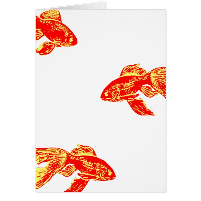 Roter Königin (Vorne)