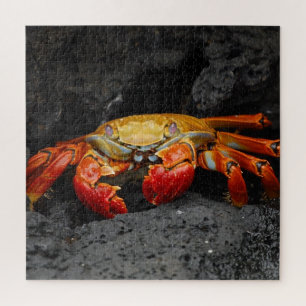 Roter Krebs-Jigsaw-Puzzle Puzzle