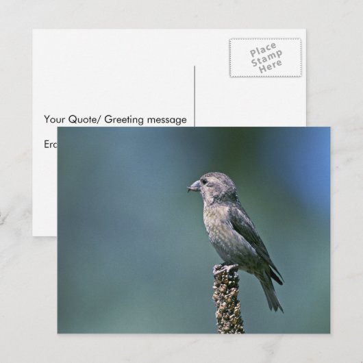 Roter Kreuz Postkarte (Vorne/Hinten)