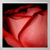 Roter Kuss Poster (Vorne)