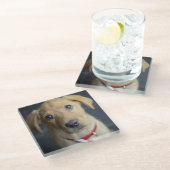 Roter Labrador Welpe Fox Glasuntersetzer (Schrägansicht)