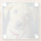 Roter Labrador Welpe Fox Glasuntersetzer (Rückseite)