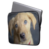 Roter Labrador Welpe Fox Laptopschutzhülle (Vorderseite Links)