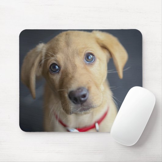 Roter Labrador Welpe Fox Mousepad (Mit Mouse)
