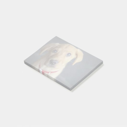 Roter Labrador Welpe Fox Post-it Klebezettel (angewinkelt)