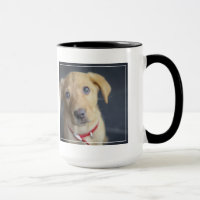 Roter Labrador Welpe Fox