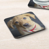 Roter Labrador Welpe Fox Untersetzer (Linke Seite)