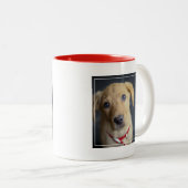 Roter Labrador Welpe Fox Zweifarbige Tasse (VorderseiteRechts)