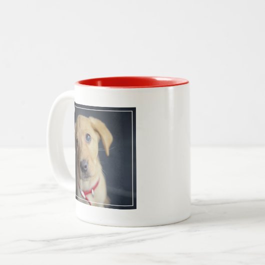 Roter Labrador Welpe Fox Zweifarbige Tasse (Vorderseite Links)