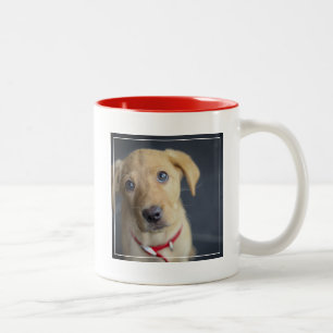 Roter Labrador Welpe Fox Zweifarbige Tasse