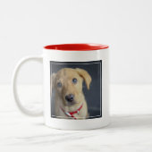 Roter Labrador Welpe Fox Zweifarbige Tasse (Links)
