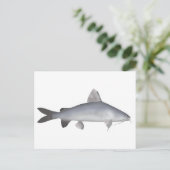 Roter Lachs Postkarte (Stehend Vorderseite)