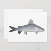 Roter Lachs Postkarte (Vorne/Hinten)