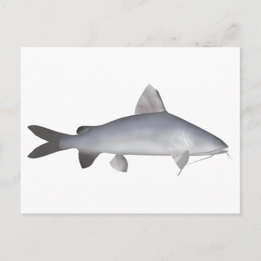 Roter Lachs Postkarte (Vorderseite)