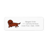 Roter Langhaar-Dachshund 1 (Vorne)