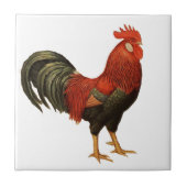 Roter Leghorn-Hahn Fliese (Vorderseite)