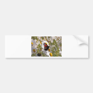 Roter Lila Schwarzschmetterling auf der Tagesordnu Autoaufkleber