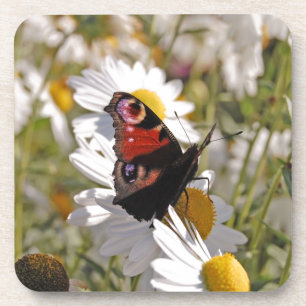Roter Lila Schwarzschmetterling auf der Tagesordnu Getränkeuntersetzer