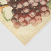 Roter Lila Weintraum Ephemera Seidenpapier (Ausschnitt)