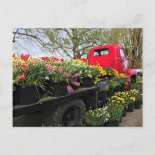 Roter LKW mit Frühlingsblumen und Regenbogen Postkarte