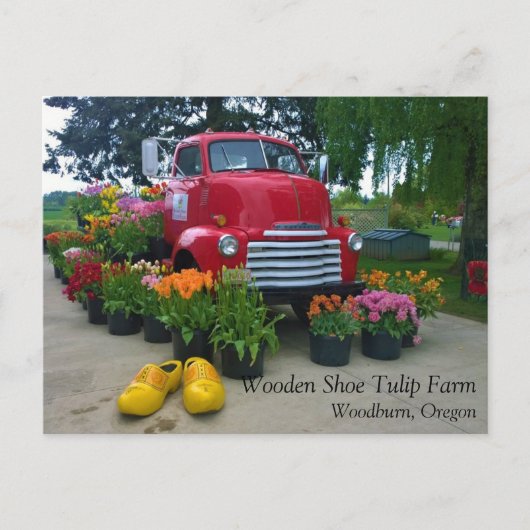 Roter Lkw mit Tulips, Oregon Postkarte (Vorderseite)