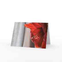 Roter Löwe Amaryllis-Blume Neujahrskarte