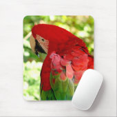 Roter Macaw Mousepad 2 (Mit Mouse)
