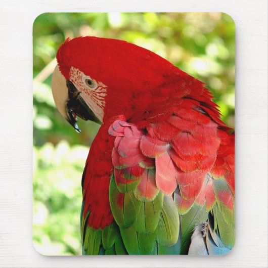 Roter Macaw Mousepad 2 (Vorne)