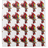 Roter Macaw Parrot Aquädukte Duschvorhang (Vorderseite)