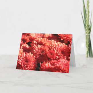 Roter Mama-öffentlich Garten Karte