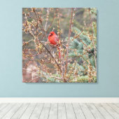 Roter männlicher Kardinal auf der Hecken-Leinwand Leinwanddruck (Insitu (Holzboden))
