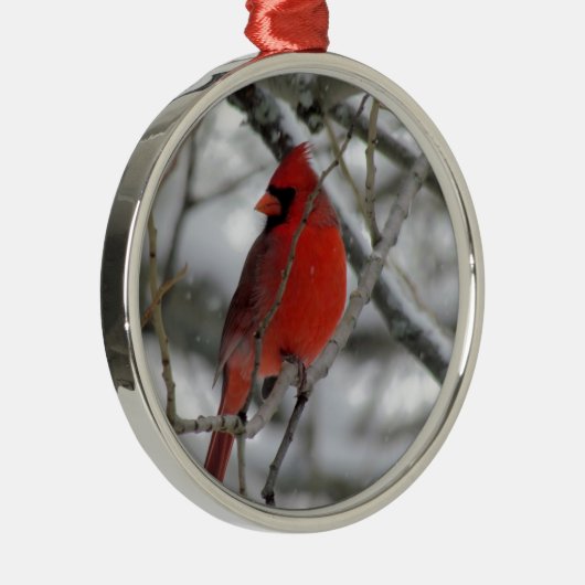 Roter männlicher Kardinal im Winter Silbernes Ornament (Rechts)