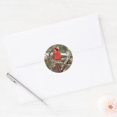 Roter männlicher Kardinal Round Stickers (Umschlag)