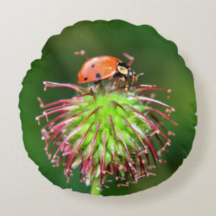 Roter Marienkäfer Rundes Kissen