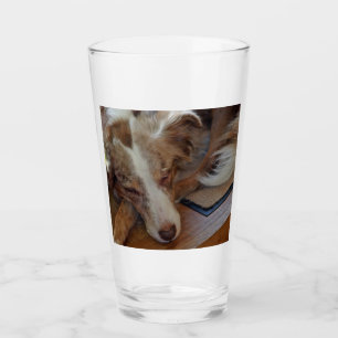 roter Merle Aussie schlafend Glas