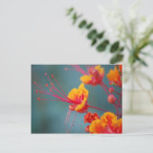 Roter mexikanischer Paradiesvogel Postkarte (Stehend Vorderseite)