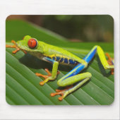 Roter mit Augen Baum-Frosch Mousepad (Vorne)